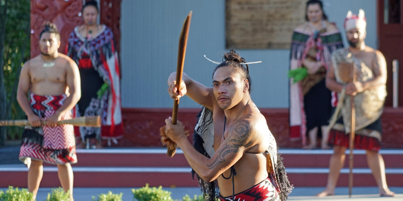 Best Tours in Rotorua Cover Photo