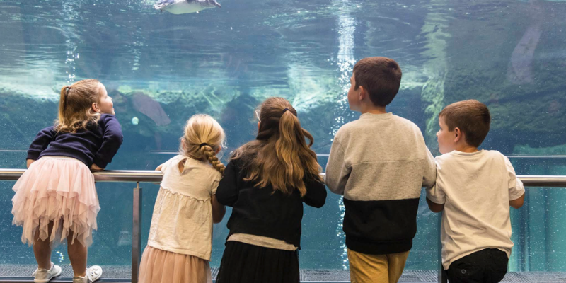 Christchurch International Antarctic Centre